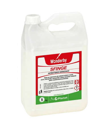 Detergente Antibatterico Igienizzante 5 KG